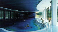 Congress center Papiernicka: The indoor pool